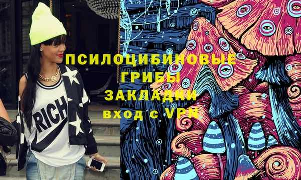 спиды Верея
