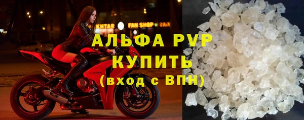 спиды Верея