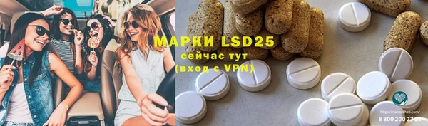 спиды Верея