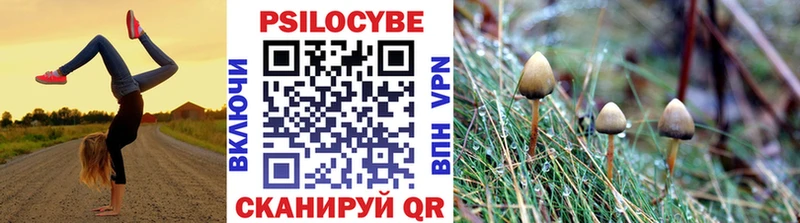 darknet какой сайт  Магнитогорск  Псилоцибиновые грибы мухоморы 